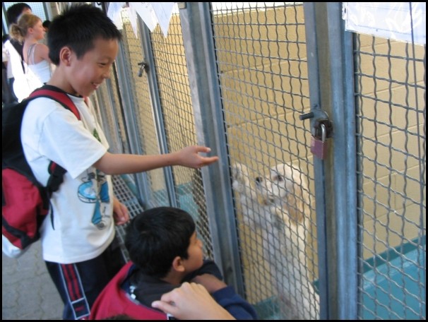 BCSPCA OCT 2006 028.jpg